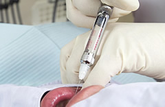 ���Ȗ���