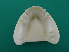 �o�l�̂Ȃ����ꎕ1