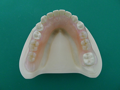 �o�l�̂Ȃ����ꎕ2